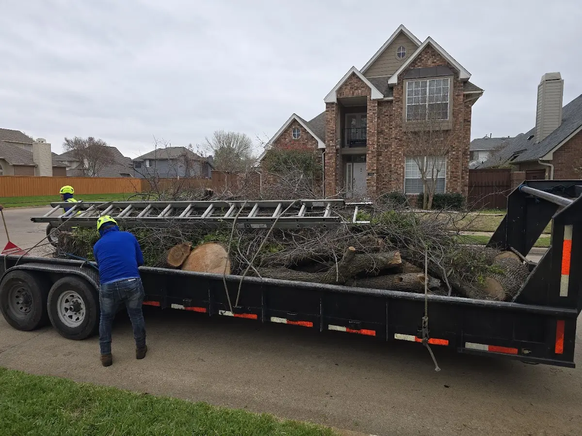 Expert Tree Fertilization with proper safety equipment in Stevens